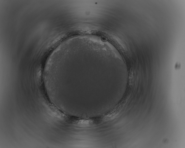 X0000094360314200711241943