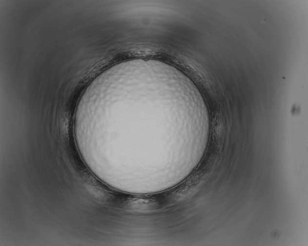 X0000094360315200711241943