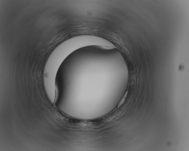 X0000094360317200711241943