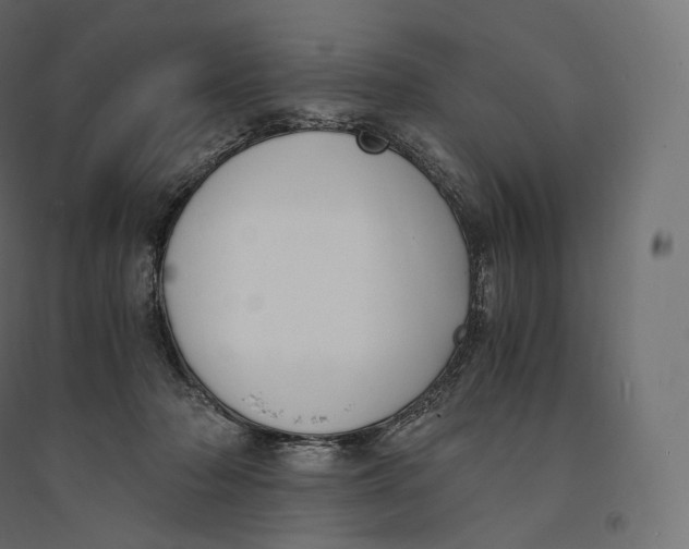 X0000094360318200711241943