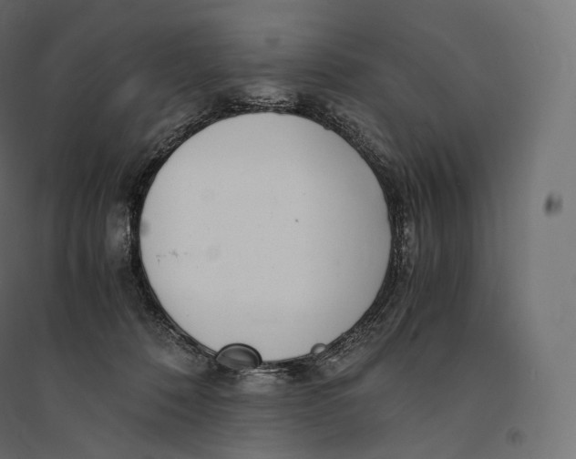 X0000094360320200711241943