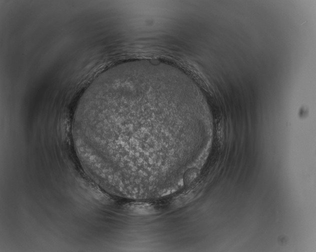 X0000094360322200711241943