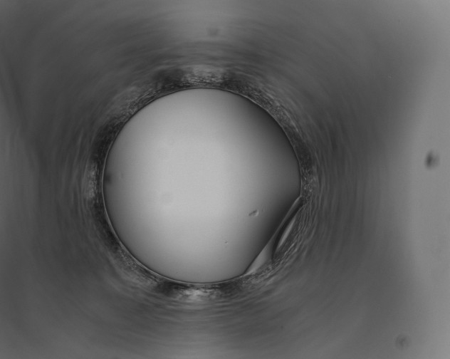 X0000094360323200711241943