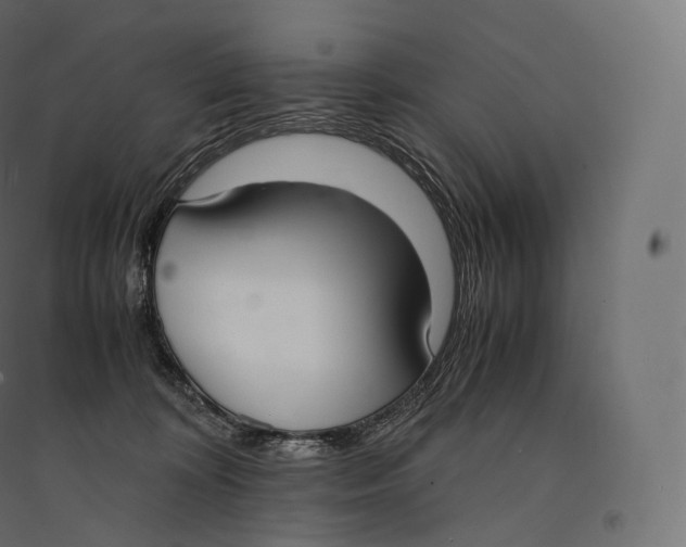 X0000094360324200711241943