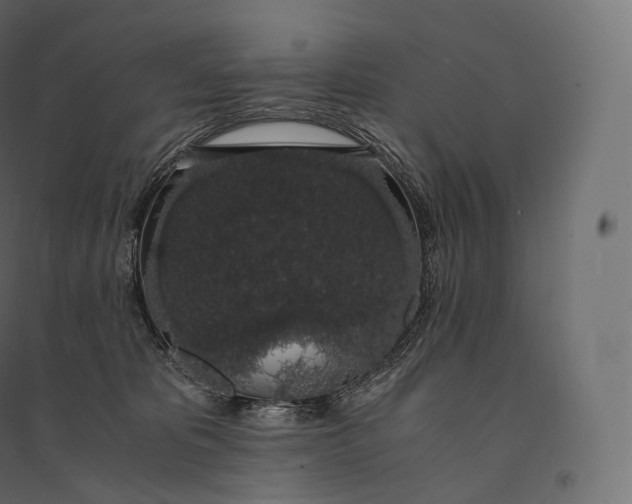 X0000094360325200711241943