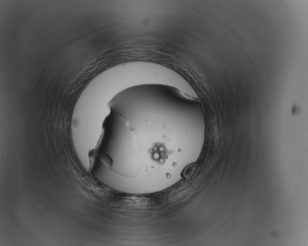 X0000094360328200711241943