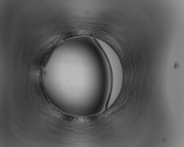 X0000094360329200711241943