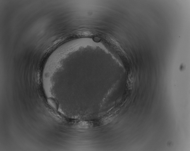 X0000094360330200711241943