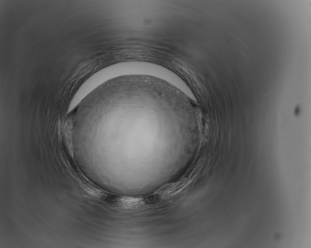 X0000094360333200711241943