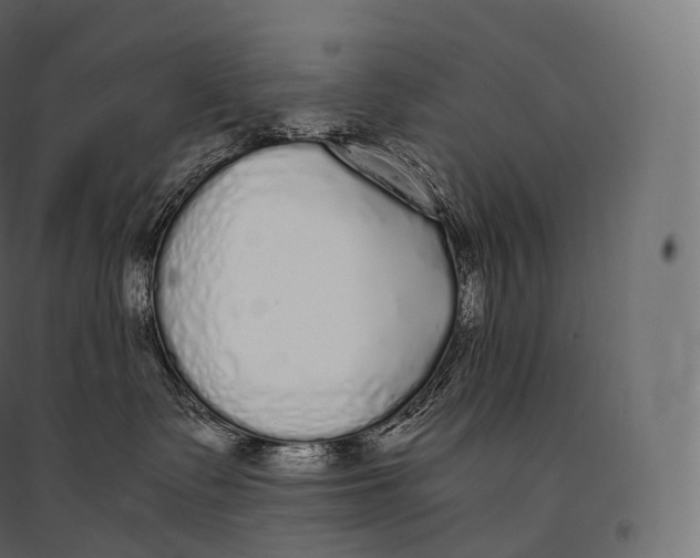 X0000094360335200711241942