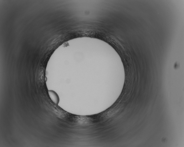 X0000094360336200711241942