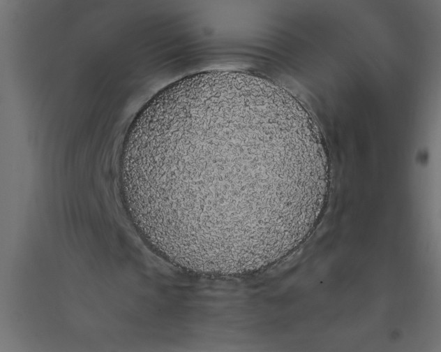 X0000094360337200711241942
