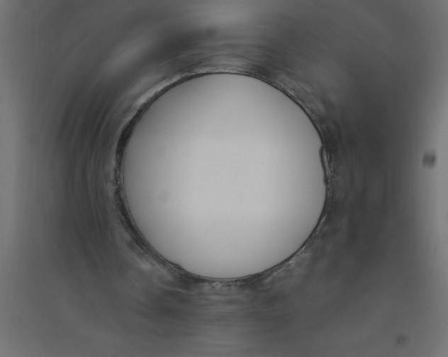 X0000094360338200711241942