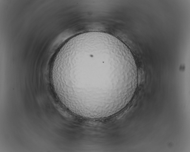 X0000094360339200711241942