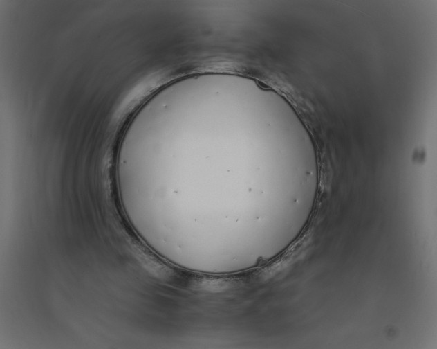 X0000094360341200711241942