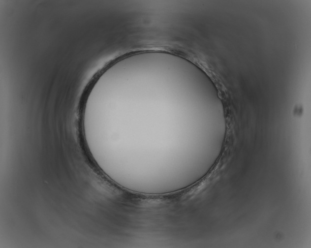 X0000094360342200711241942