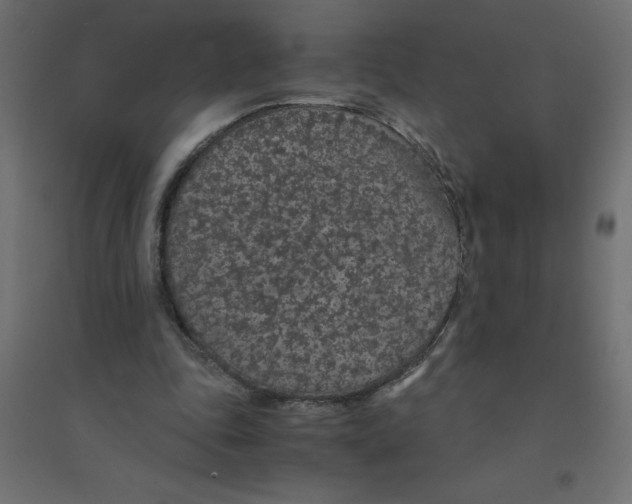 X0000094360343200711241942