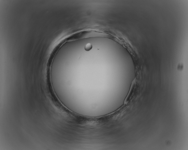 X0000094360344200711241942