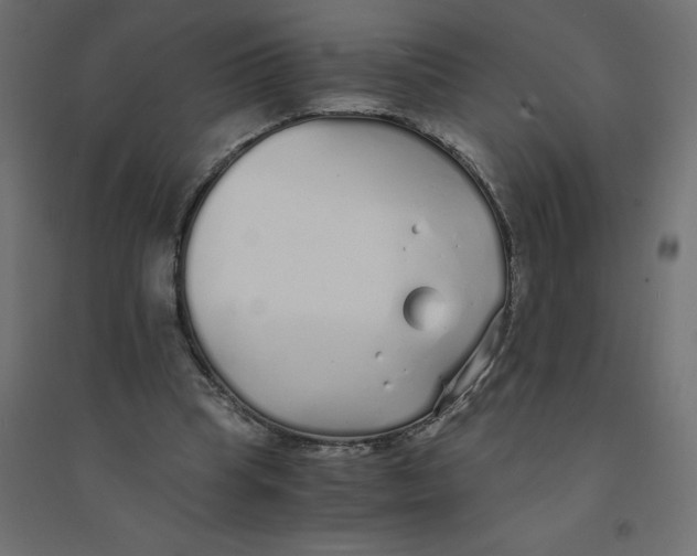 X0000094360345200711241942