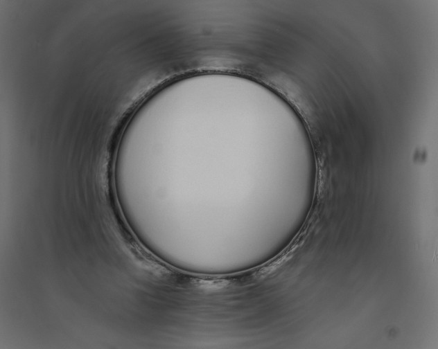 X0000094360346200711241942