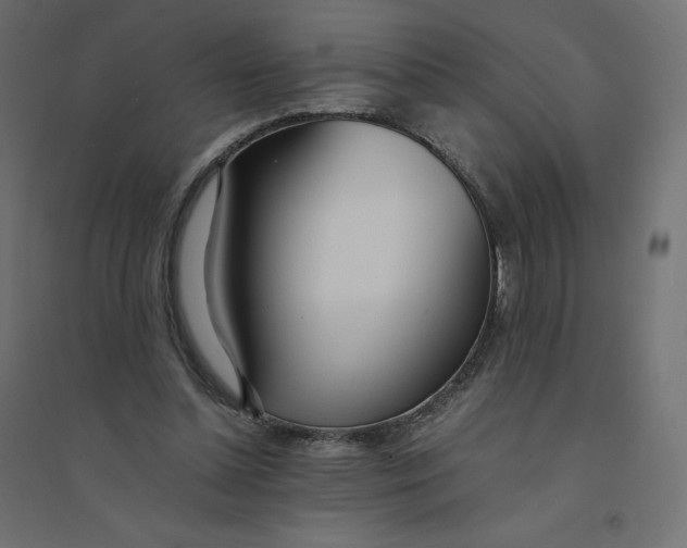 X0000094360348200711241942
