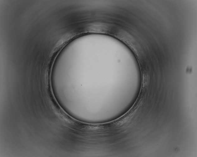 X0000094360349200711241942
