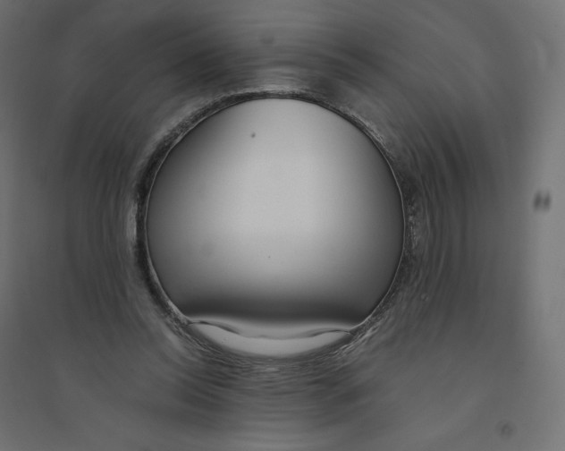 X0000094360350200711241942