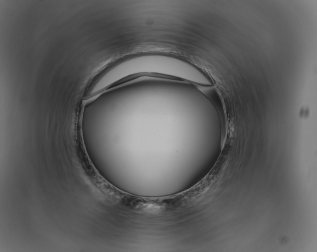 X0000094360352200711241942