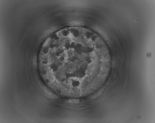 X0000094360353200711241942