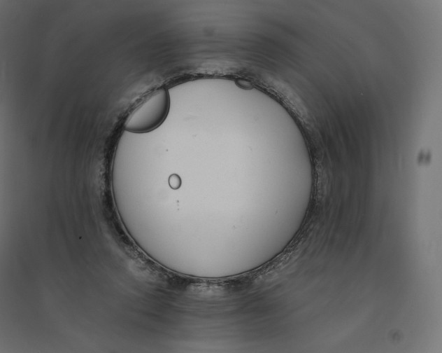 X0000094360354200711241942