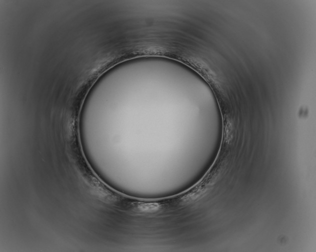 X0000094360355200711241942