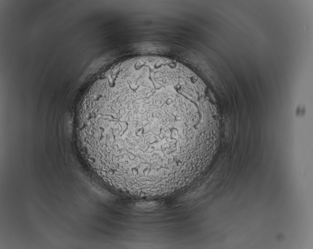 X0000094360357200711241942