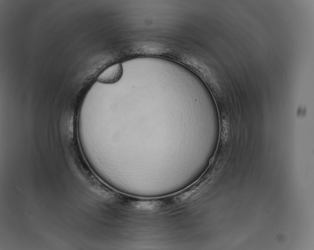 X0000094360358200711241942