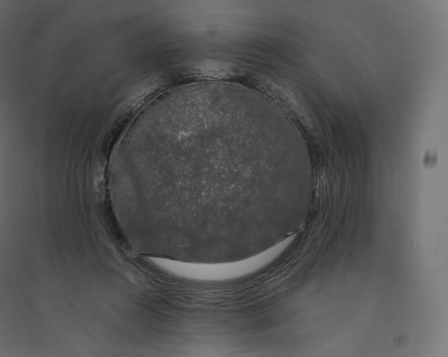 X0000094360360200711241942