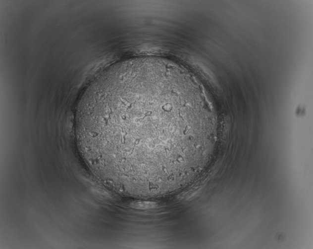 X0000094360361200711241942