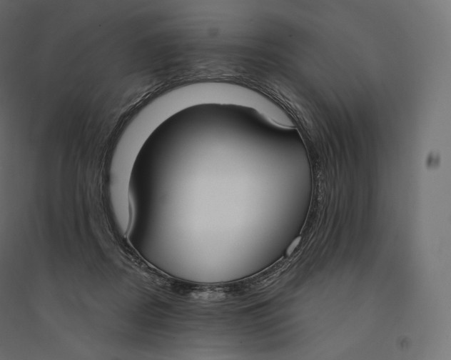 X0000094360362200711241942