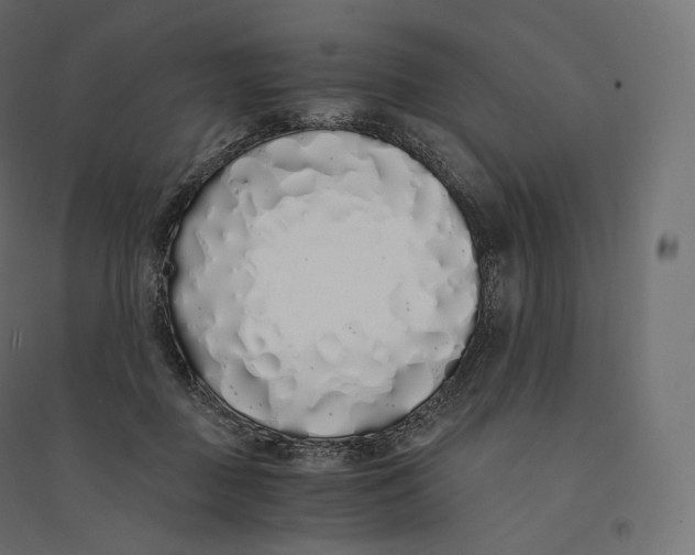X0000094360363200711241942