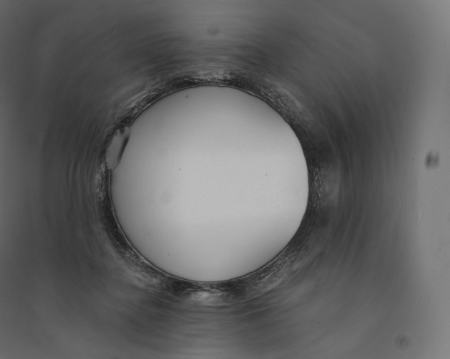 X0000094360364200711241942