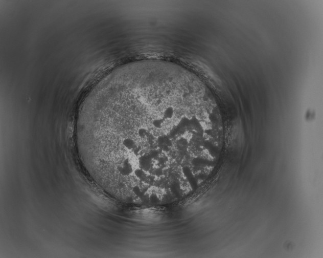 X0000094360365200711241942