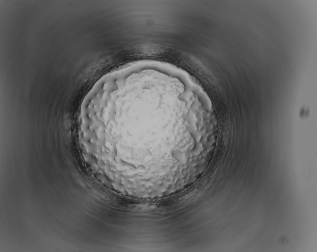 X0000094360366200711241942