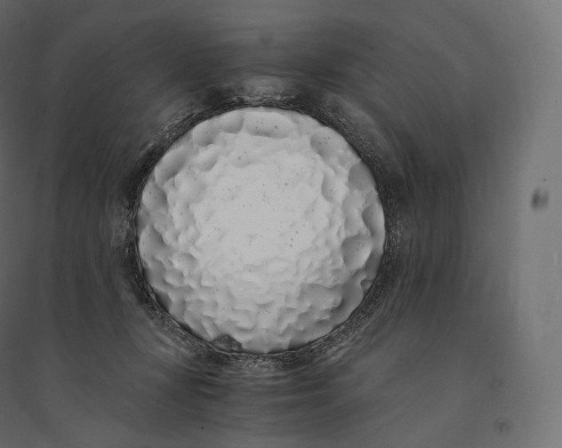 X0000094360367200711241942