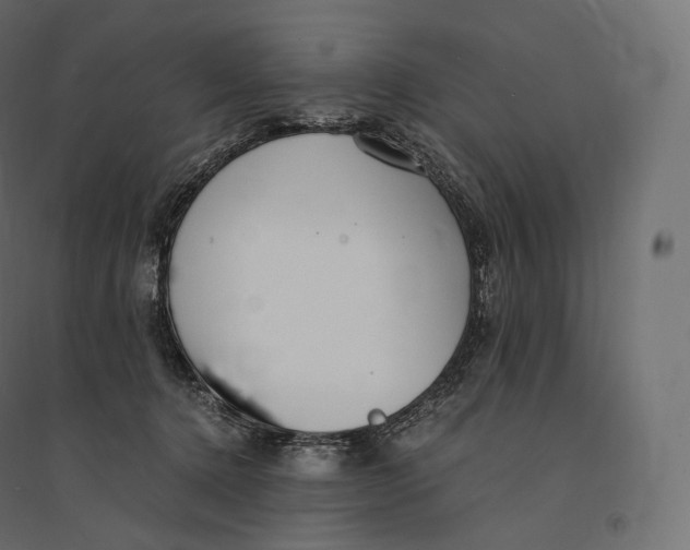 X0000094360368200711241942