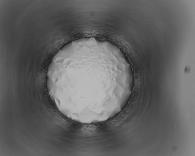 X0000094360369200711241942
