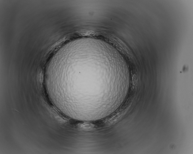 X0000094360372200711241942