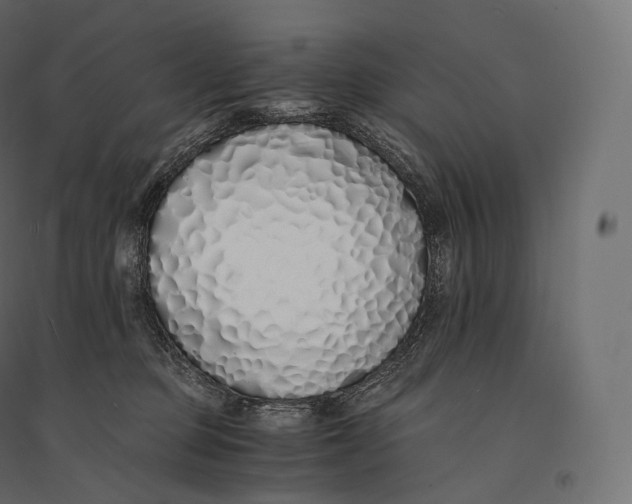 X0000094360373200711241942