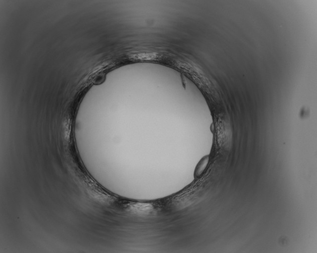 X0000094360374200711241942