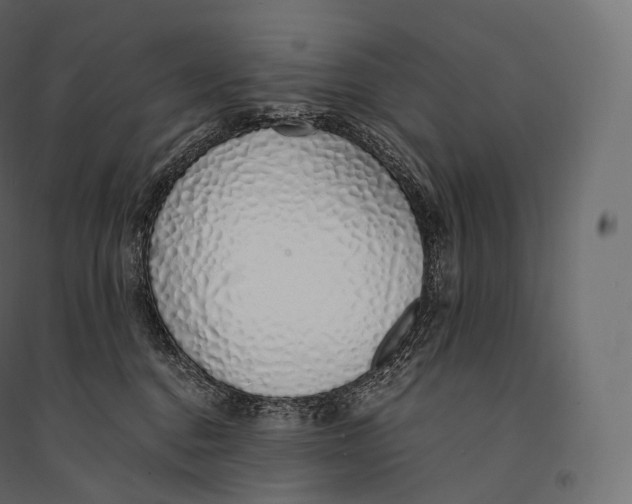 X0000094360376200711241942