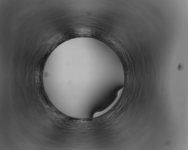 X0000094360379200711241942