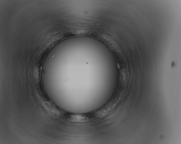 X0000094360380200711241942