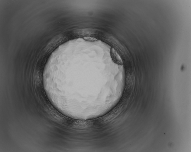 X0000094360381200711241942